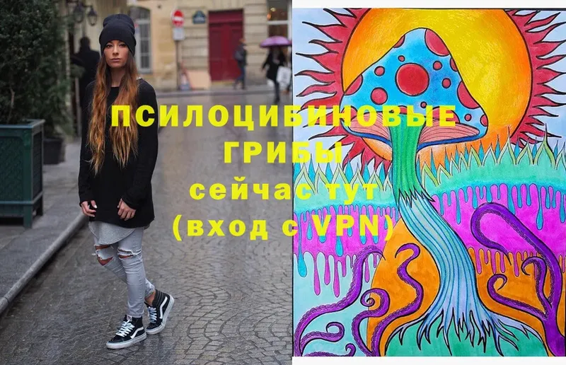 Галлюциногенные грибы Cubensis  ссылка на мегу как войти  Североморск 